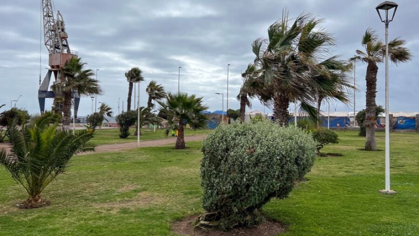 Meteorología emitió alerta por fuertes vientos que afectarán a la zona centro sur