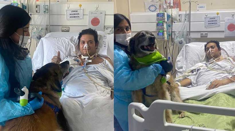 “Volvió a sonreír”: paciente recibió emotiva visita de su perro en hospital de Valparaíso