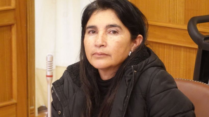 Diputada Ahumada exige a Energía y SEC soluciones urgentes por nuevos apagones en Mejillones