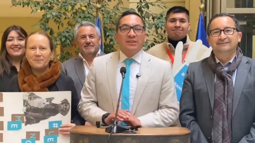 Avanza proyecto que penaliza abandono animal y crea registro de maltratadores: hasta tres años de cárcel