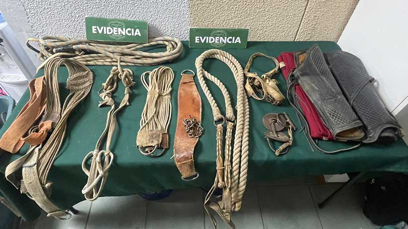 Carabineros detiene a madre de jugador que exhibió arma en partido de fútbol amateur en Quilpué