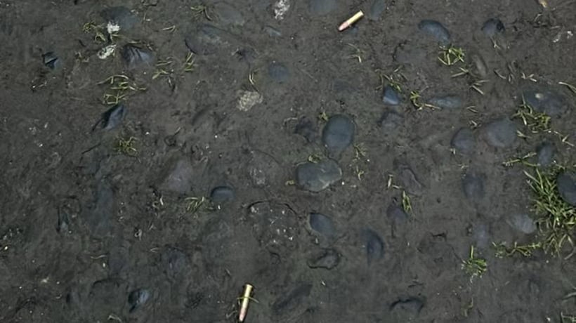 Osorno: hallazgo de balas en estacionamiento de colegio generó preocupación en comunidad escolar