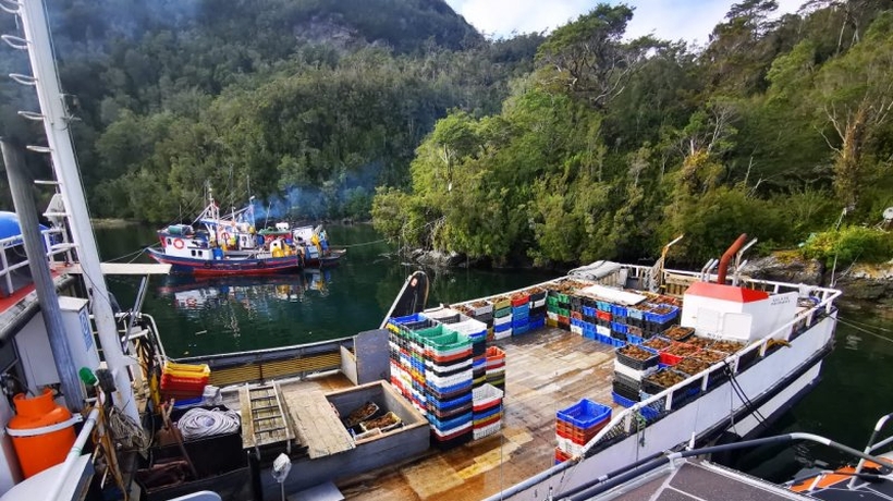 Alertan grave déficit de inspectores navales en la Región de Los Lagos