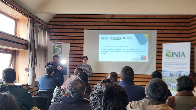 En Castro realizan seminario del proyecto para reducir los riesgos de plaguicidas químicos en pequeños agricultores de papa