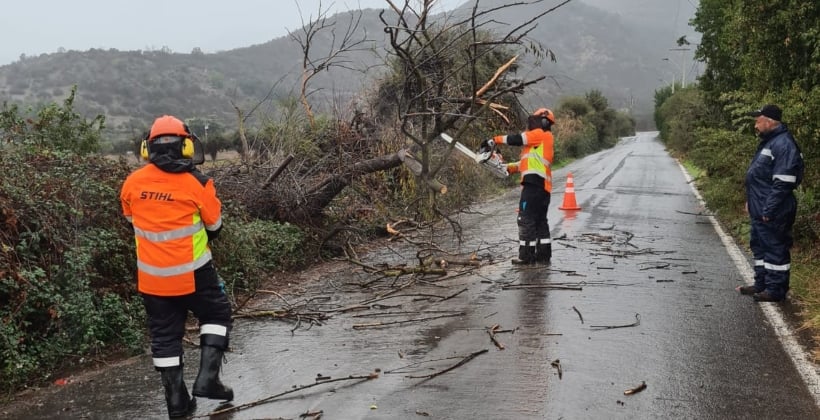 Temporal deja caída de árboles y cortes de energía en algunas comunas de la provincia