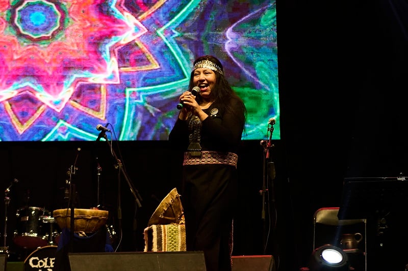 Municipio valdiviano invita a participar en talleres familiares y show artístico para celebrar el Mes de los Pueblos Indígenas