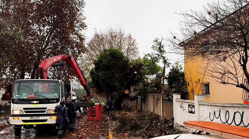Anegamientos y caída de árboles: los efectos del paso de nuevo sistema frontal en Villa Alemana