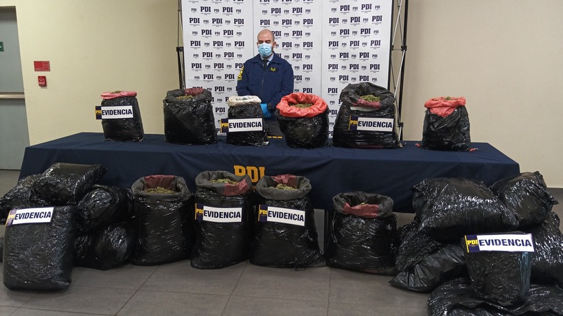 Nuevo operativo incauta más de 107 kilos de cannabis sativa perteneciente a “Los Fritz”