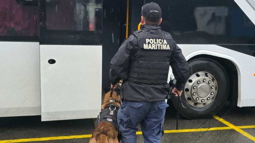 Pasajeros de bus fueron detectados en Pargua portando marihuana