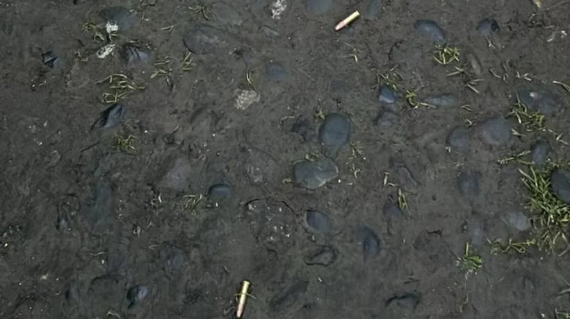 Hallazgo de balas causa preocupación en el Colegio Francés de Osorno