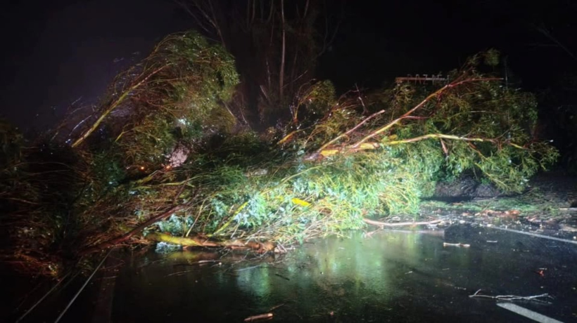 Cierran de forma provisoria Ruta de la Madera por el fuerte sistema frontal que afecta al Biobío