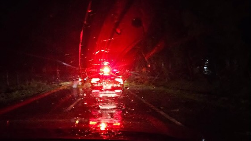 Cerca de 40 mil clientes de Los Ángeles se encuentran sin suministro eléctrico por caída de árbol que afectó a la línea de transmisión