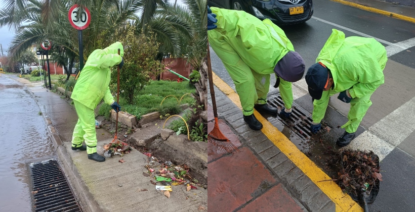 Quillota enfrentó 39 mm de lluvia y fuertes vientos: techos volados, árboles caídos y cortes de energía