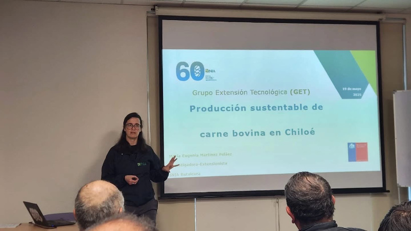 Lanzan grupo de extensión tecnológica para ganaderos en Castro