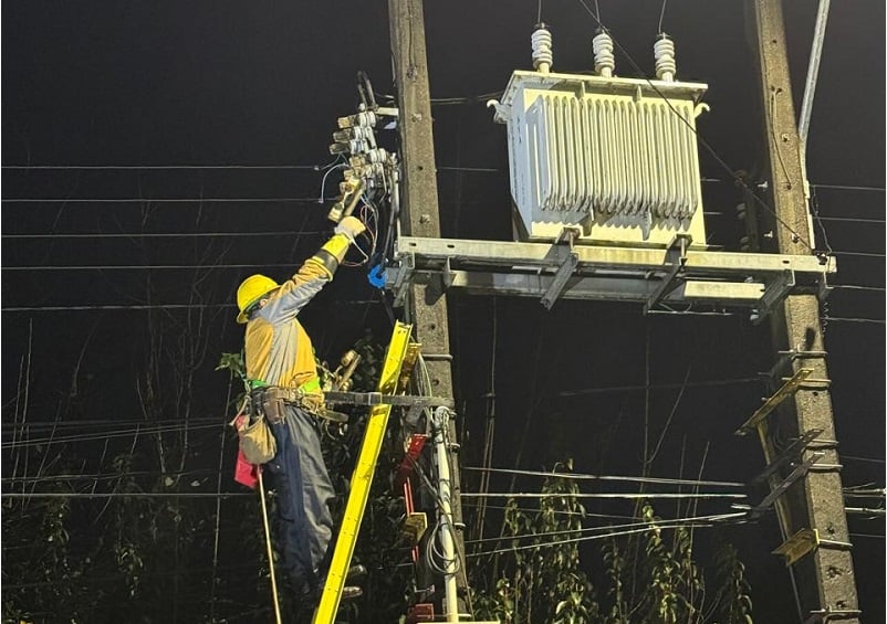 Saesa informa que en la Región de Los Ríos un 99% de los clientes se encuentra con servicio eléctrico