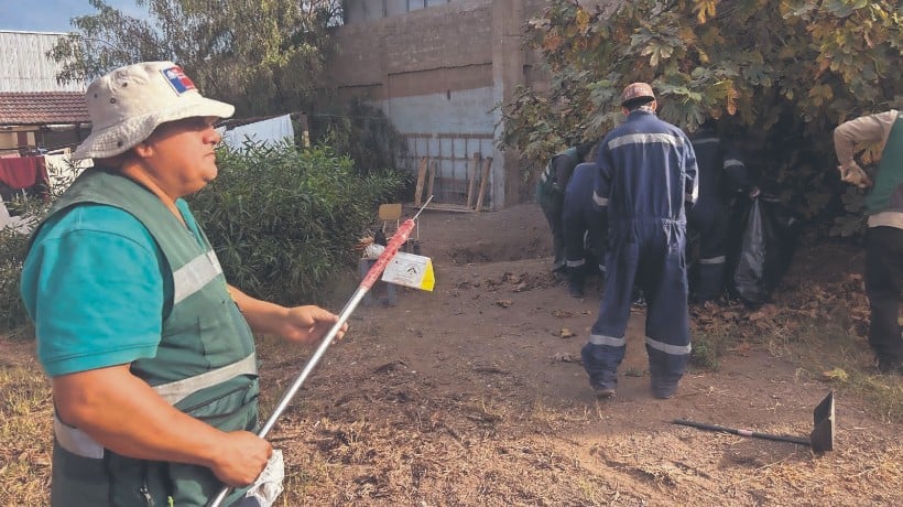 SAG descarta presencia de la mosca de la fruta en la Región de Antofagasta