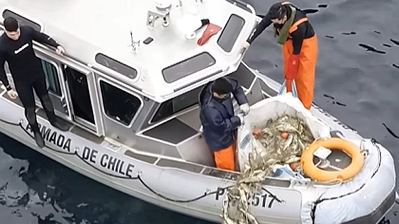 Red con 300 peces muertos y a 30 metros de profundidad fue descubierta en el lago Llanquihue