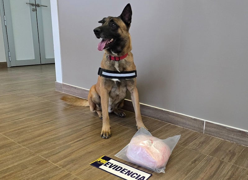 "Dante" lideró nueva detección de cocaína que ingresaba a Los Ríos