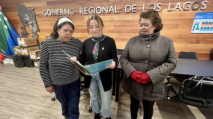 Empresa ganó licitación del Gobierno Regional de Los Lagos con una garantía falsa