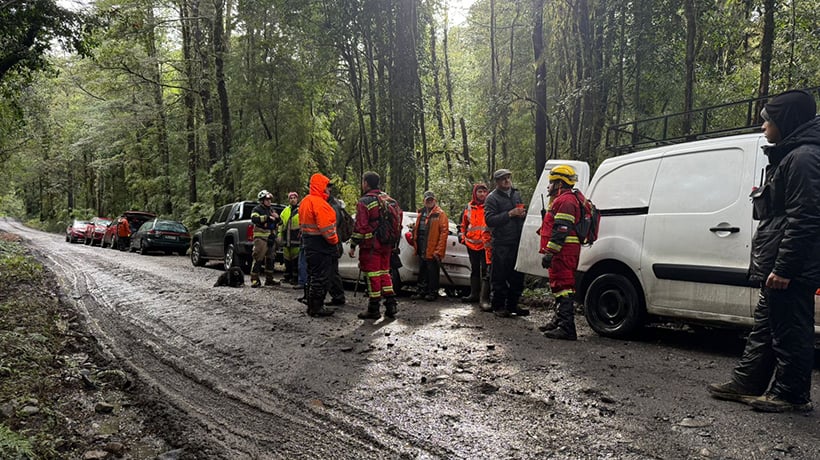 Buscan intensamente a adulto mayor extraviado desde hace seis días en Parque Nacional Puyehue