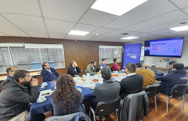 Saesa realizó webinar sobre el impacto del cambio climático en la continuidad del servicio eléctrico