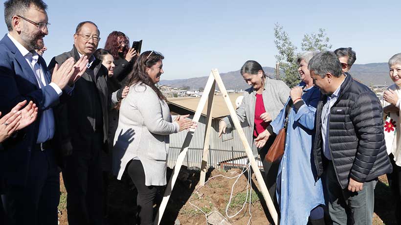 Viña del Mar: instalan primera piedra del proyecto de área verde comunitaria en Manuel Bustos