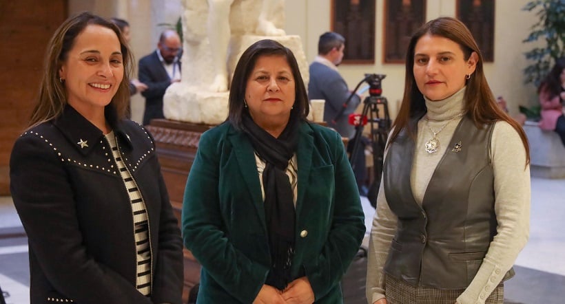 Diputadas de 'Bancada Rosa' piden urgente acceso a pruebas del VHP en la red pública de Atacama