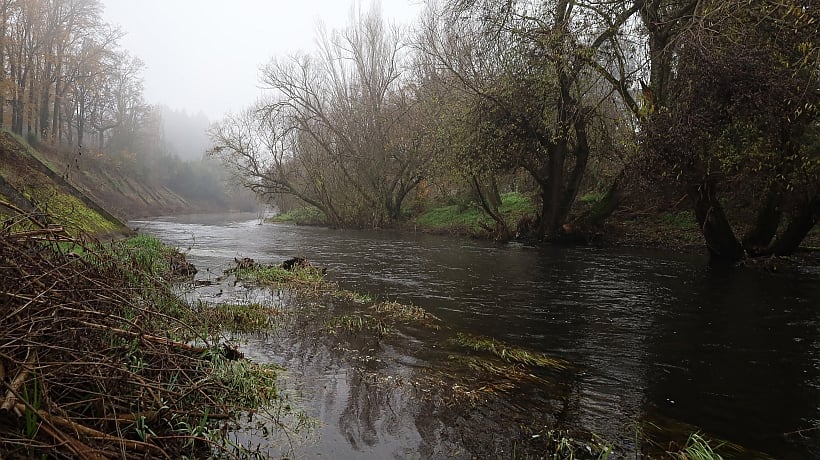 Oficiarán a Medio Ambiente por falta de avances en protección de ríos de Osorno