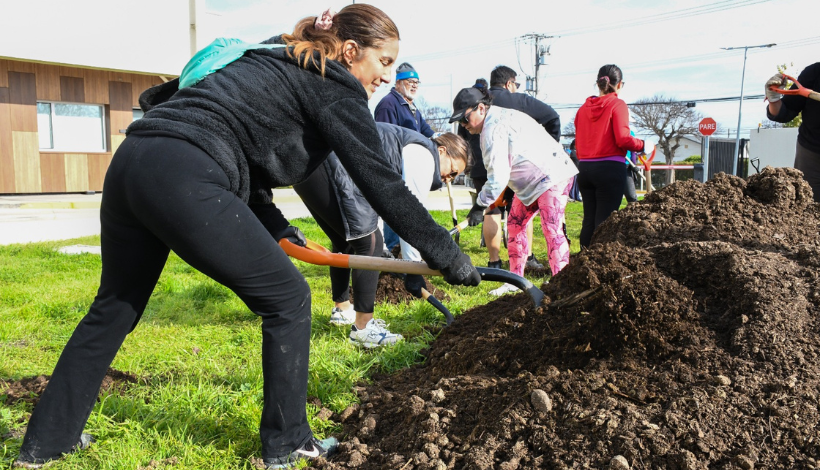 Impulsan primer bosque Miyawaki en recinto de salud de la Región de Valparaíso