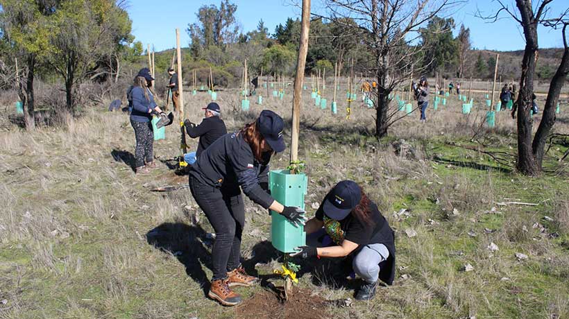 Más de 190 árboles nativos fueron plantados en zona siniestrada de la Reserva Lago Peñuelas