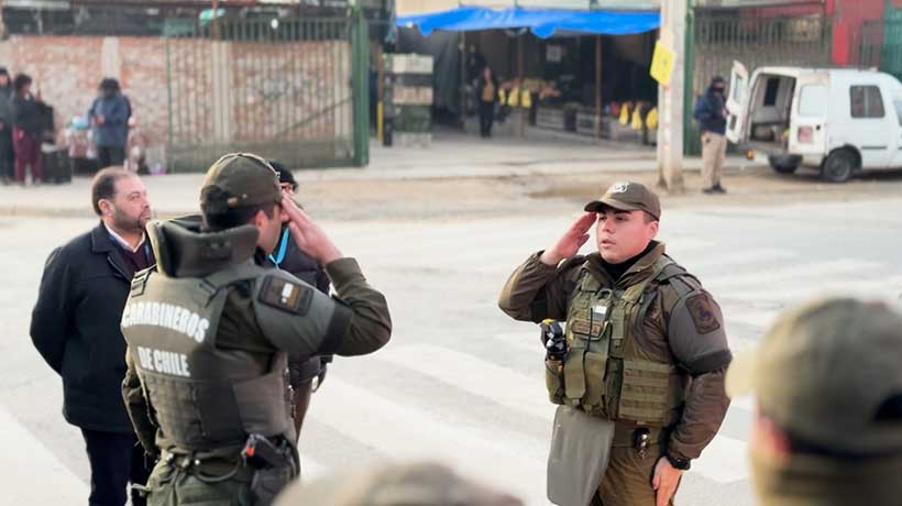 Villa Alemana y Quilpué se unen para proteger la tradicional Feria Ojos de Agua: 2 detenidos