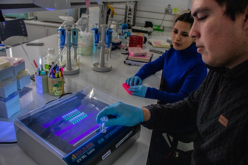 UACh mantiene liderazgo: 8° lugar nacional en ranking QS World Top Global Universities
