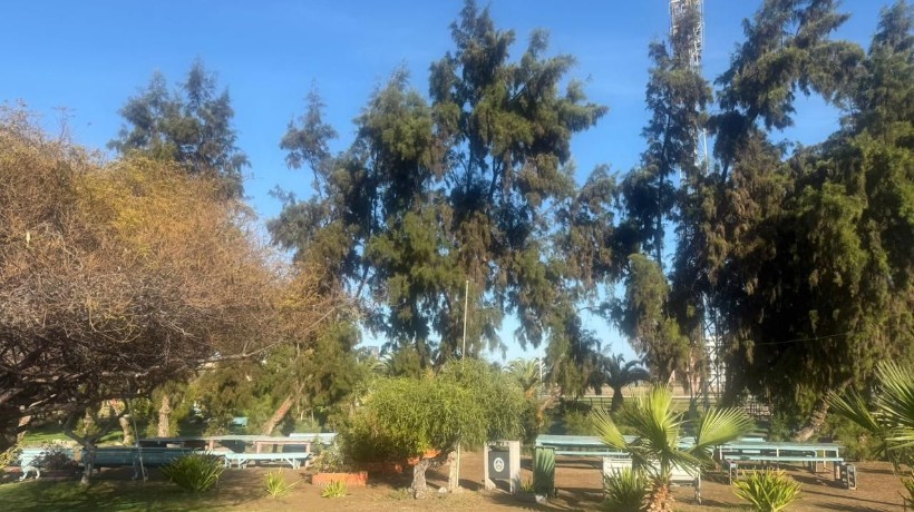 Municipio de Antofagasta realiza feria costumbrista este sábado en Parque Juan López