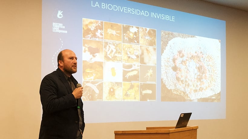Innovador modelo busca promover la gestión sostenible del destino turístico Lago Llanquihue