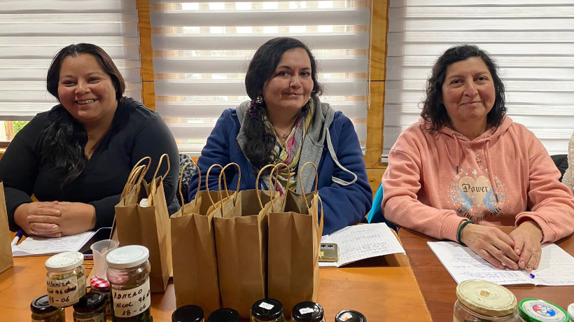 Vecinos y vecinas de Chonchi inician curso de técnicas de elaboración de cosmética natural