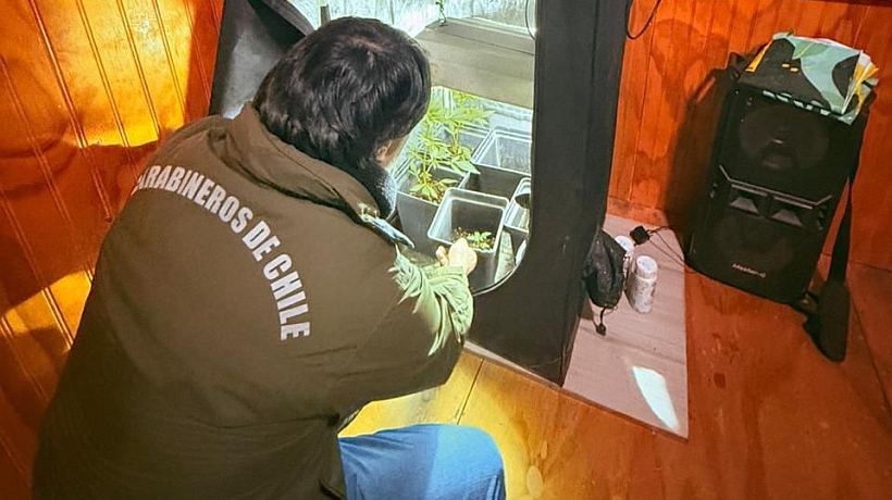 Ronda de Carabineros en Alerce permitió detener a 13 involucrados en diversos delitos