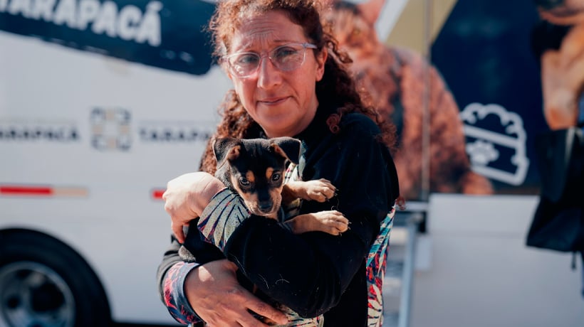 Más de 700 mascotas de las caletas de la región de Tarapacá serán atendidas por clínica móvil