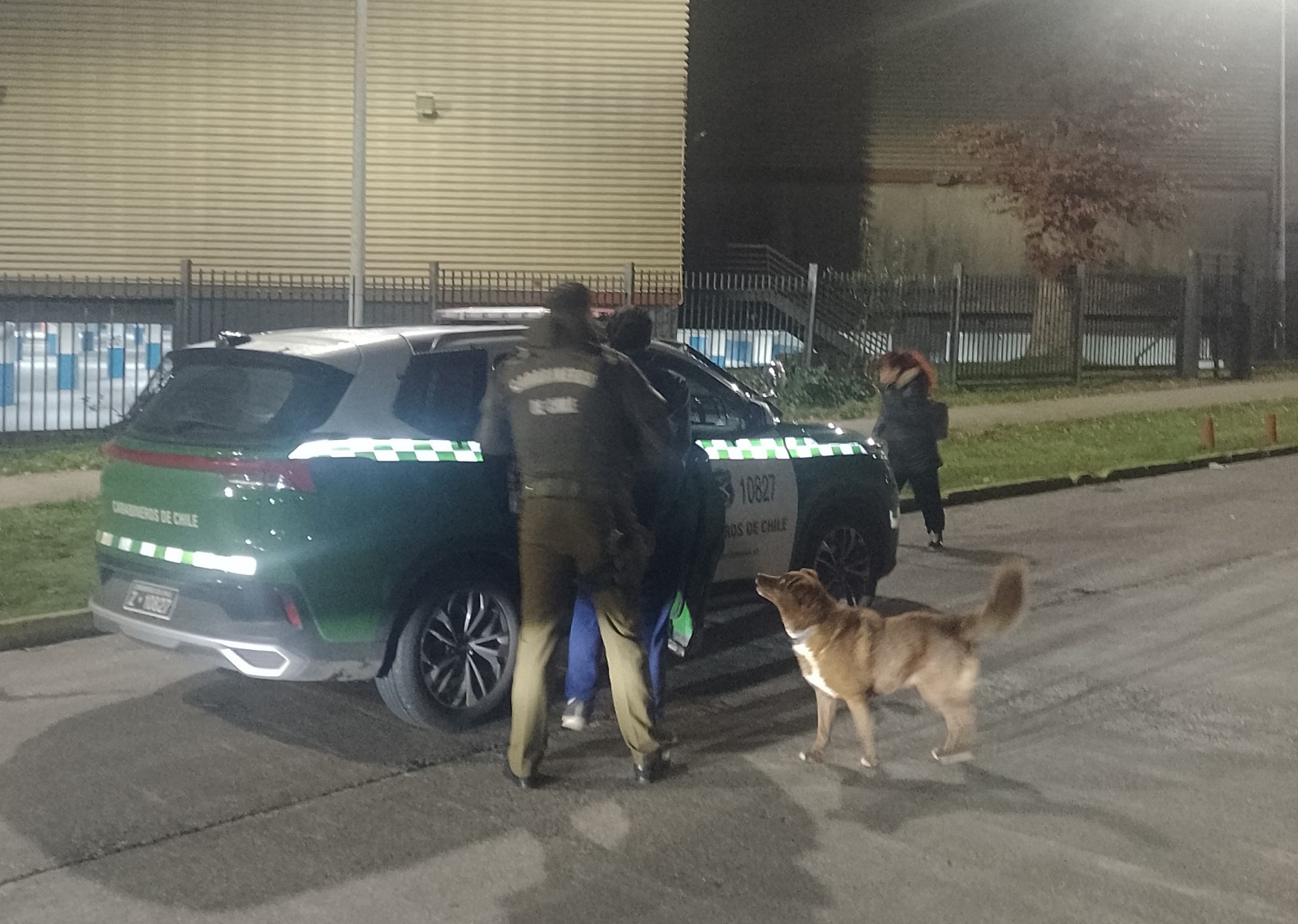 Investigan homicidio en Valdivia