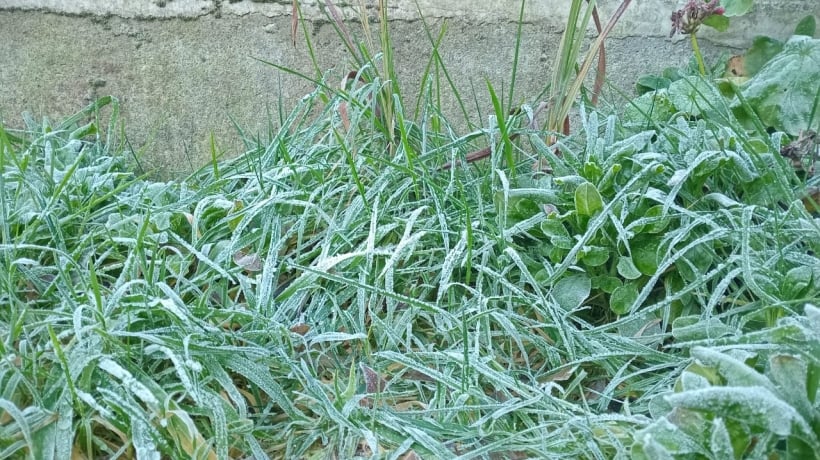 Frío marcó nuevo récord en Puerto Montt: temperatura mínima fue de -5,6°C