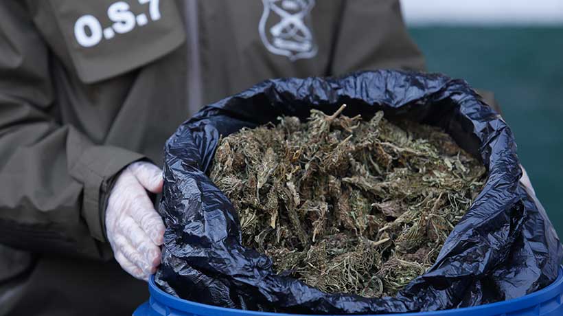 Carabineros ha incautado 2.500 kilos de drogas en lo que va de 2025 en la Región de Valparaíso