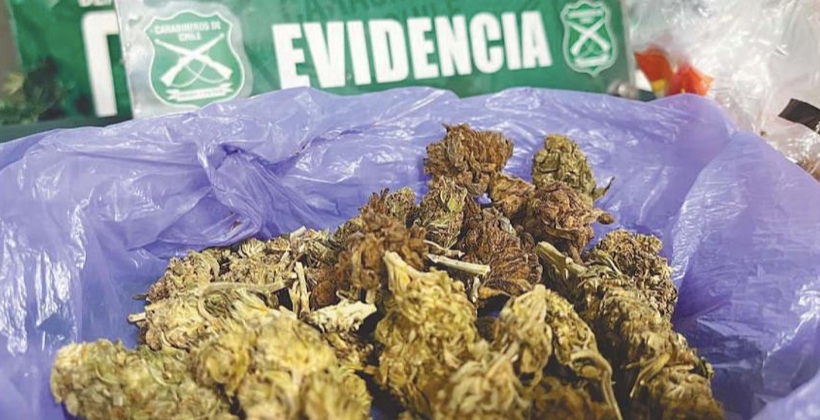 40% de droga decomisada en la región proviene de Petorca