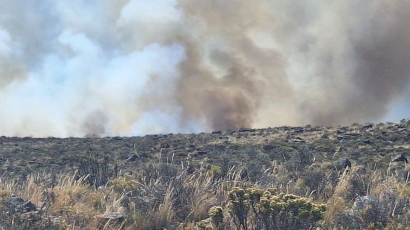Temporada de incendios forestales: prohíben quemas controladas de desechos agrícolas en toda la Provincia del Tamarugal