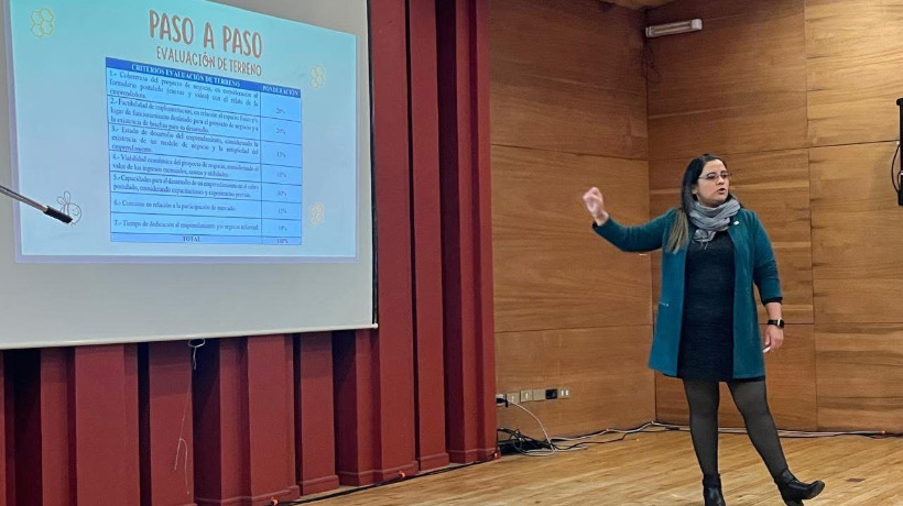 Puerto Montt impulsa capacitación para emprendedoras en fondo concursable Capital Abeja Emprende