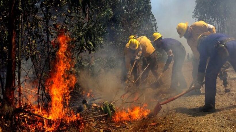 Más de la mitad de los incendios forestales en La Araucanía fueron por negligencia Más de la mitad de los incendios forestales en La Araucanía fueron por negligencia