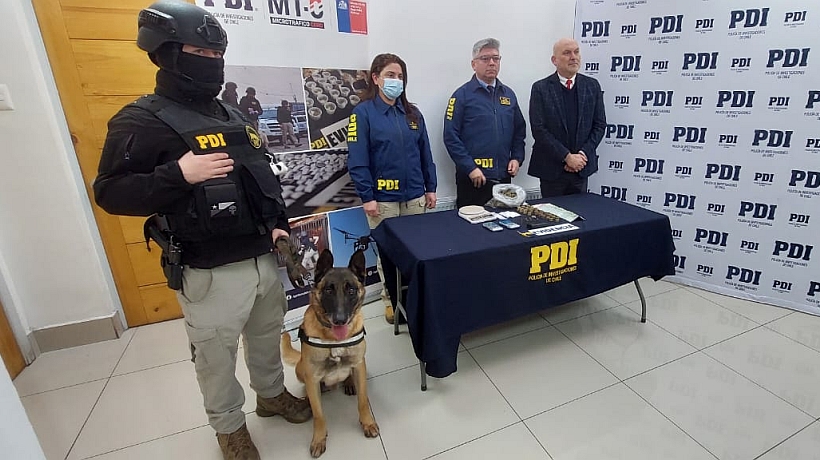 Allanaron tres domicilios en Dalcahue e incautaron 3 millones de pesos en drogas Allanaron tres domicilios en Dalcahue e incautaron 3 millones de pesos en drogas