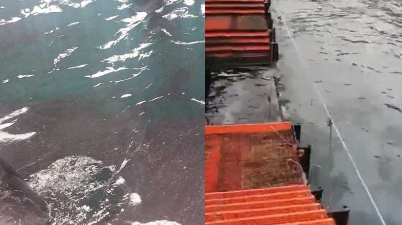 [VIDEO] Denuncian mancha oleosa en la costa de Valparaíso: Armada informó análisis y monitoreo