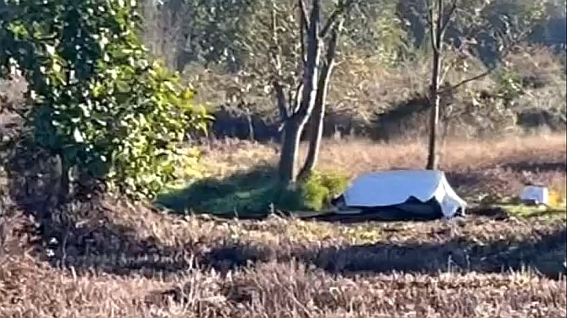 En Los Muermos indagan el hallazgo del cadáver de una mujer en un sitio eriazo En Los Muermos indagan el hallazgo del cadáver de una mujer en un sitio eriazo