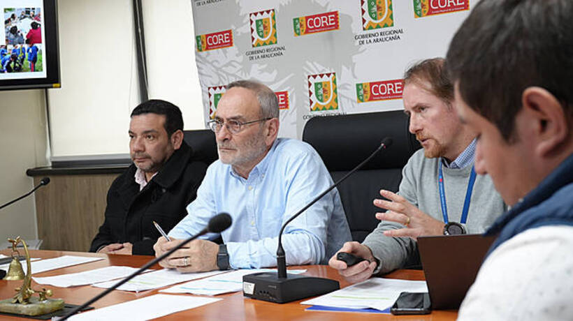 Comité Regional de Cambio Climático define representantes para enfrentar problemáticas ambientales en La Araucanía Comité Regional de Cambio Climático define representantes para enfrentar problemáticas ambientales en La Araucanía