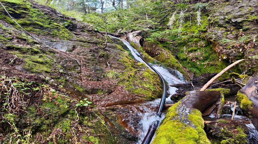 Fiscalizan al interior de Reserva Nacional Malalcahuello por intervención ilegal en cauce Fiscalizan al interior de Reserva Nacional Malalcahuello por intervención ilegal en cauce