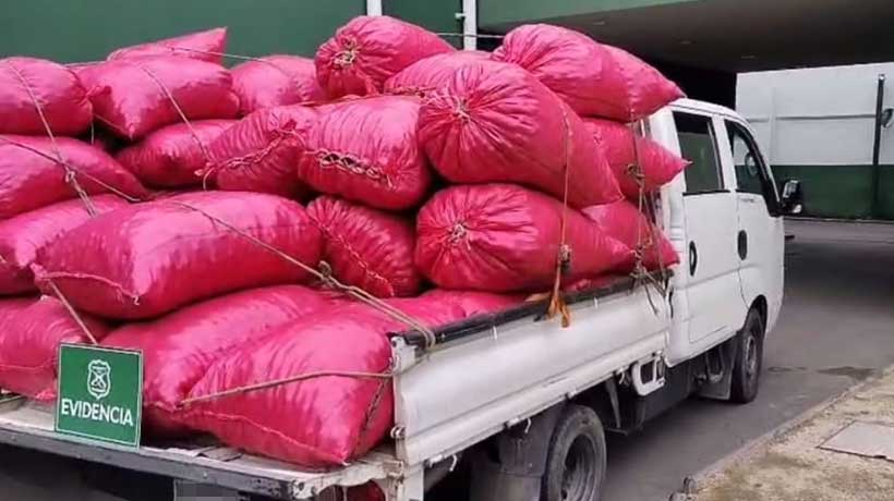 Sujetos roban 57 sacos contenedores de frutos secos desde predio en San Felipe: hay 4 detenidos Sujetos roban 57 sacos contenedores de frutos secos desde predio en San Felipe: hay 4 detenidos